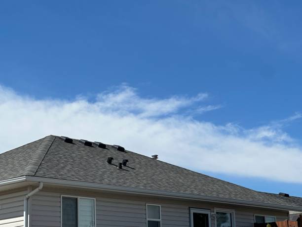 Emergency Roof Repair in Vivian, LA